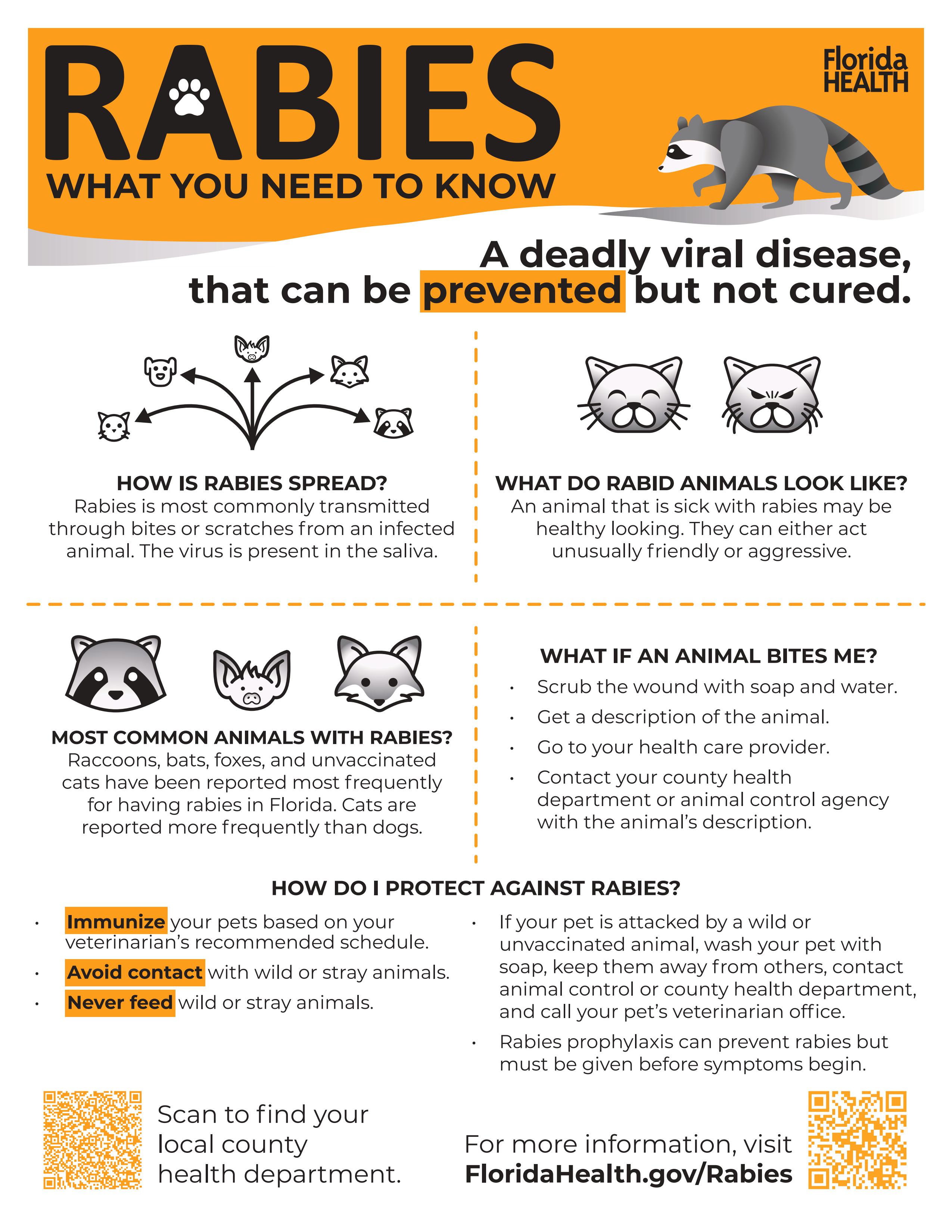 Rabies Flyer